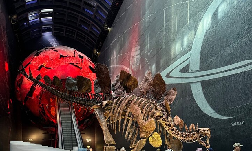 Image 4: Women in the Natural History Museum