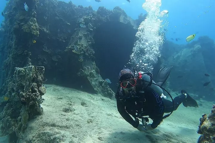 SCUBA Dive at Electric Beach with Photos -No Certification Needed