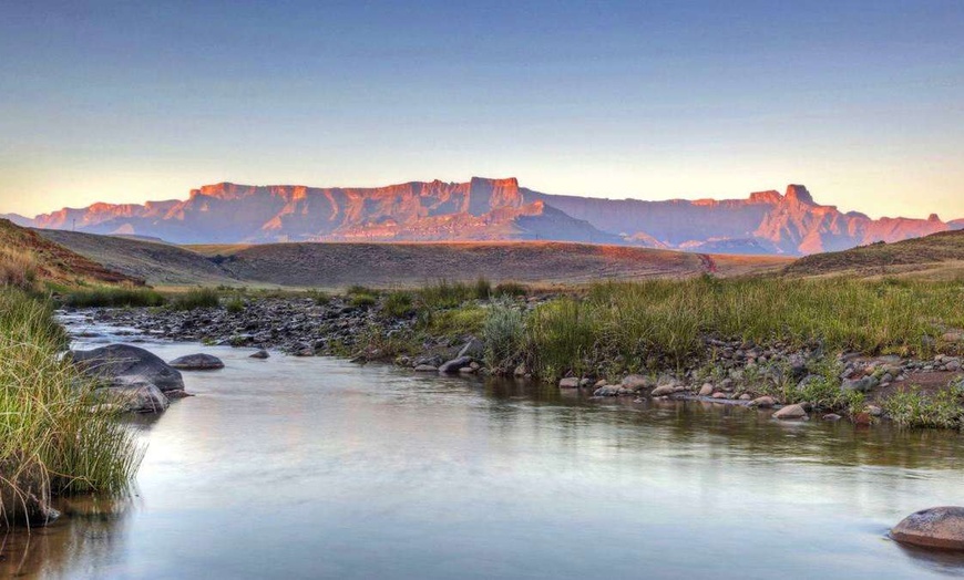 Image 5: ✈ AFRIQUE DU SUD | De Cap Town à Johannesburg - Acacia Afrique du S...