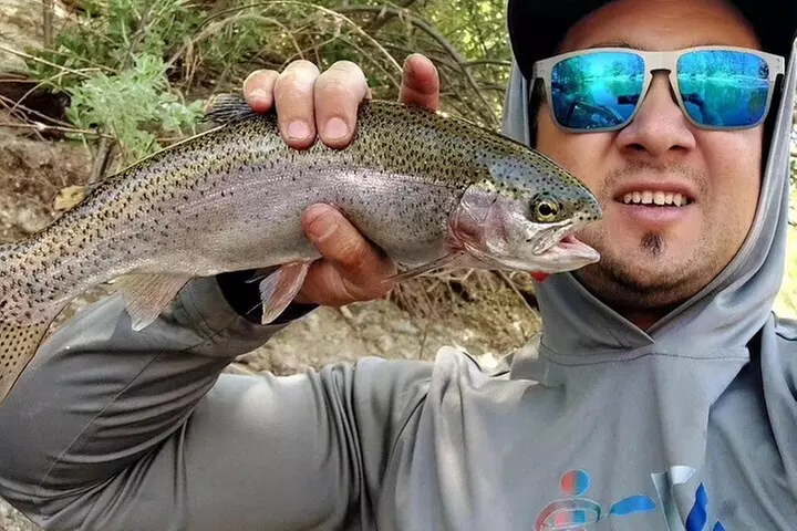 AZ Trout Fishing, on foot 2hrs. session! up to 4 people