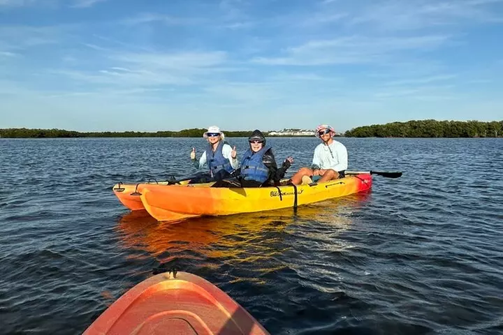 Sunset Kayaking with Dolphins