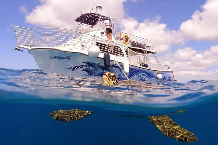 Waikiki Turtle Canyon Snorkeling with Hula Show - Primary Image