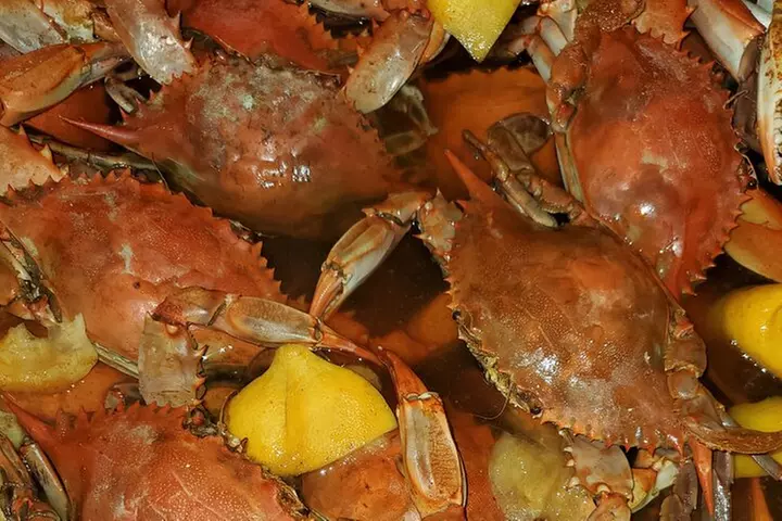 2 Hours Boat Tour in Louisiana Bayous Near New Orleans