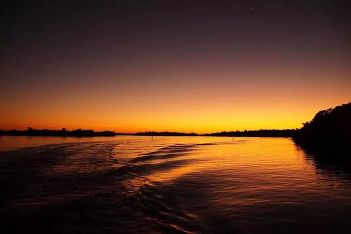 Manatee, Dolphin and 10,000 Islands Sunset Cruise!