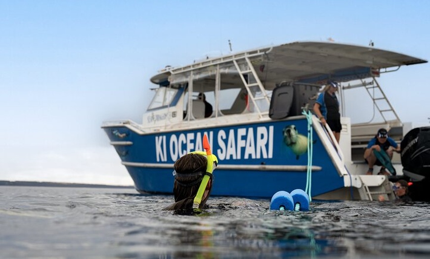 Image 10: Kangaroo Island Ultimate Adventure Tour departing Penneshaw