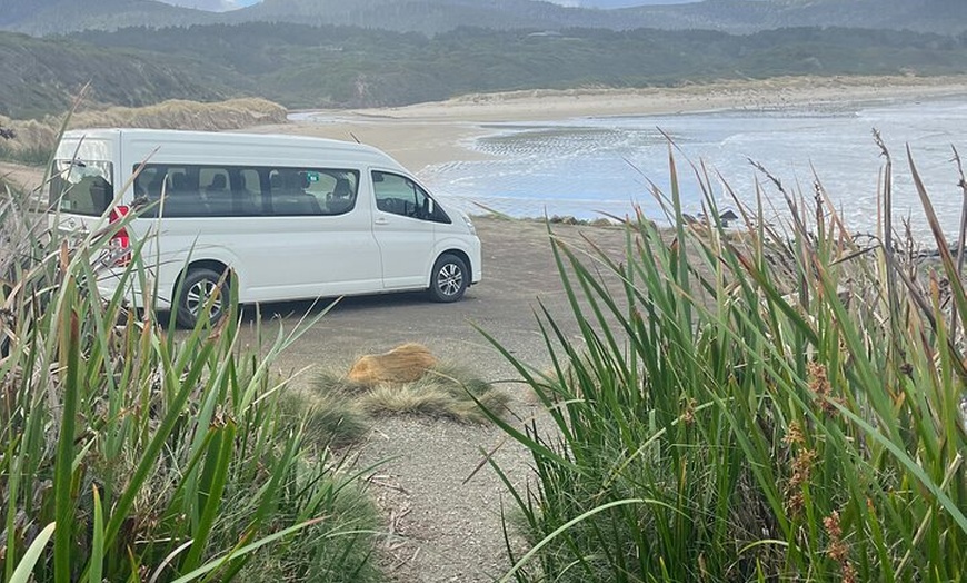 Image 4: 3 Day Private Tour in Tasmania