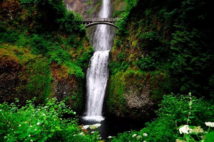 Columbia River Gorge Waterfalls & Mt Hood Tour from Portland, OR