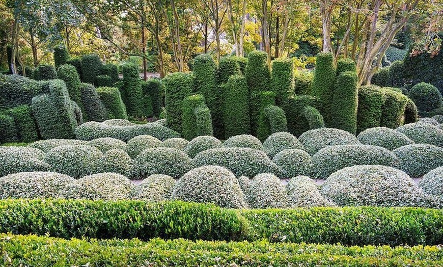 Image 5: Jardins d'Etretat billet d'entrée