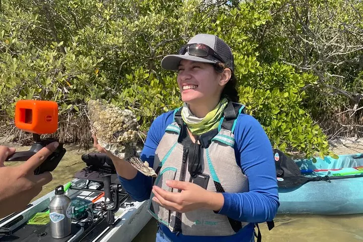 Wildlife Refuge Manatee, Dolphin & Mangrove Kayak or Paddleboarding...