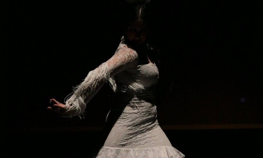 Image 1: Entrada para Tablao Opera Flamenca