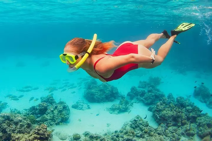 Snorkeling adventure in Cozumel, transport included from Cancun and Riviera Maya - Primary Image