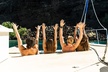 Afternoon Sail & Snorkel to the Captain Cook Monument - Second Medium