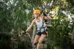 Tree Top Activity for Thrill Seekers and Adventurers in Adelaide - Image 2
