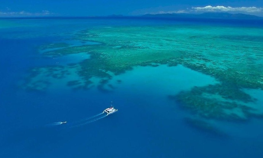 Image 5: Full-Day Great Barrier Reef Sailing Trip from Cairns