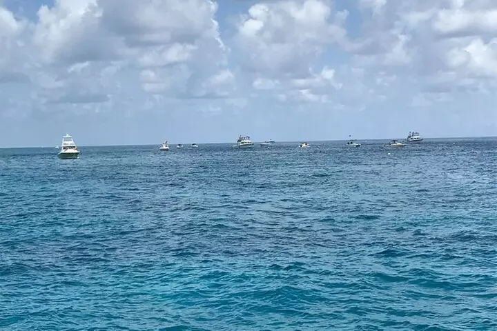 Key Largo Coral Reef Glass Bottom Boat Adventure