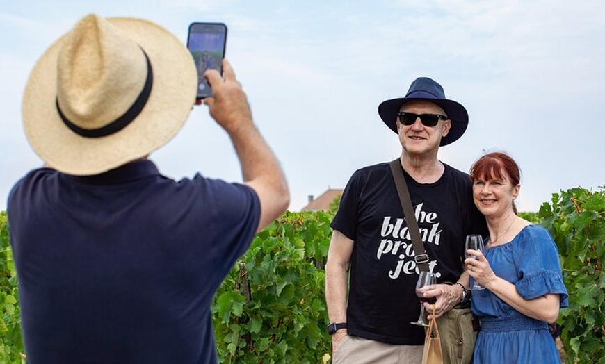 Image 2: Visite du Médoc en petit groupe avec dégustations et visites de châ...
