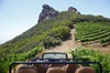 Malibu Wine Safari