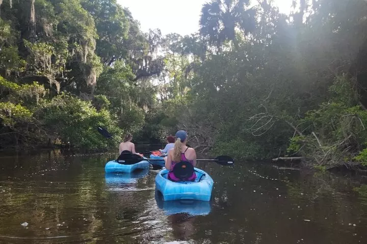 New Smyrna Dolphin and Manatee Kayak and SUP Adventure Tour