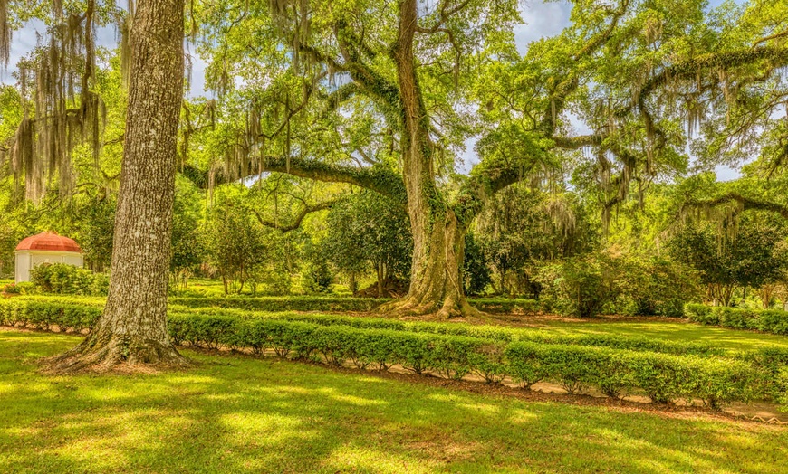 Image 8: ✈ UNITED STATES | New Orleans - Explore Louisiana by car 3* - Self-...