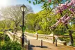 Skip-the-line Central Park Zoo with Transportation - Second Medium