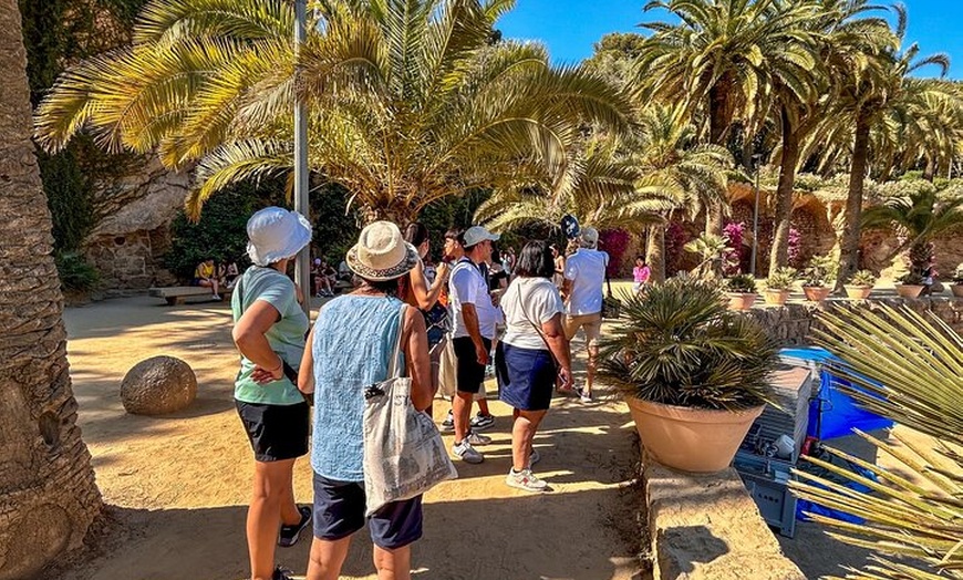 Image 10: Tour por la tarde del Park Güell