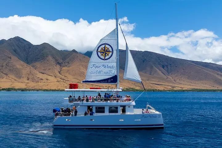 Four Winds Molokini Snorkeling Tour from Maalaea Harbor