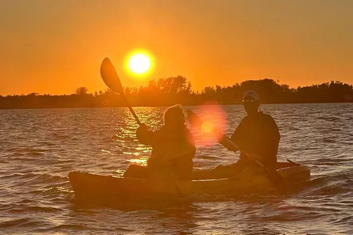 Sunset Kayaking with Dolphins