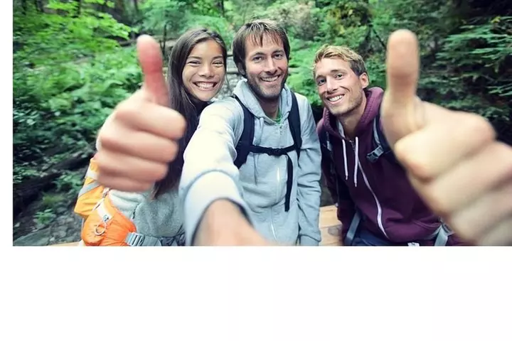 Waterfall, Rainforest, Chocolate Tour & Historical Sites
