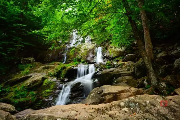 Self-Guided Audio Driving Tour in Shenandoah National Park