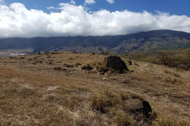 Maui Tour : Road to Hana Day Trip from Lahaina with Pick-up