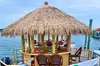 Original CRUISIN TIKIS 90 min Cruise - Grand Lagoon