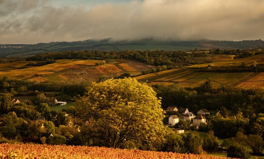 Image 1: Visite Privée Œnologique d'Une Journée en Côte de Beaune