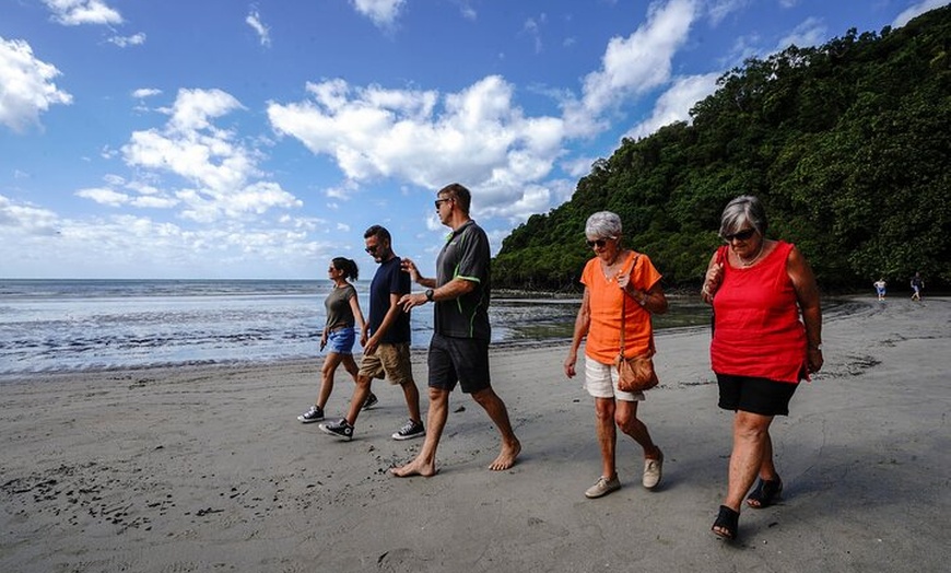 Image 12: Daintree, Cape Tribulation & River Cruise from Port Douglas