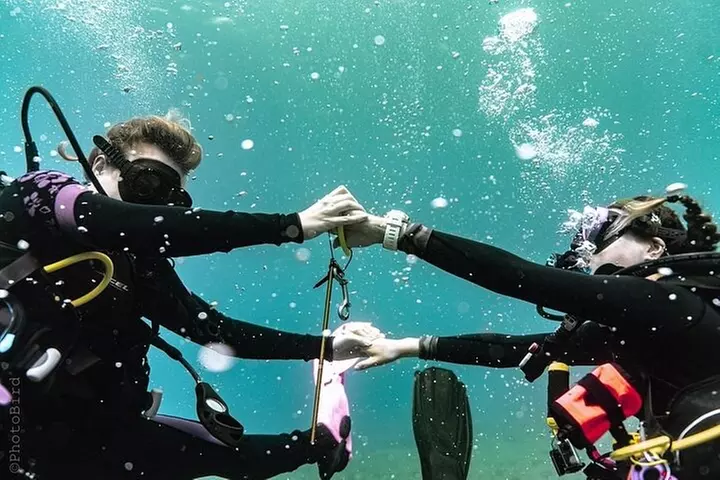 Mesmerizing Private SCUBA Diving Charter in Paradise from Waikiki