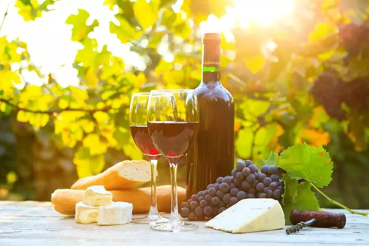 Long Island Winery Tour