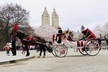 NYC Horse Carriage Ride in Central Park (50 Min. Up to 4 Adults) - Second Medium