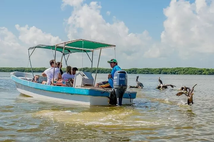 Nature Tour at Las Coloradas and Rio Lagartos Biosphere