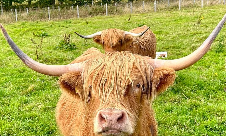 Image 9: 5 Day Orkney and Inverness Private Tour from Aberdeen Inc Hotels