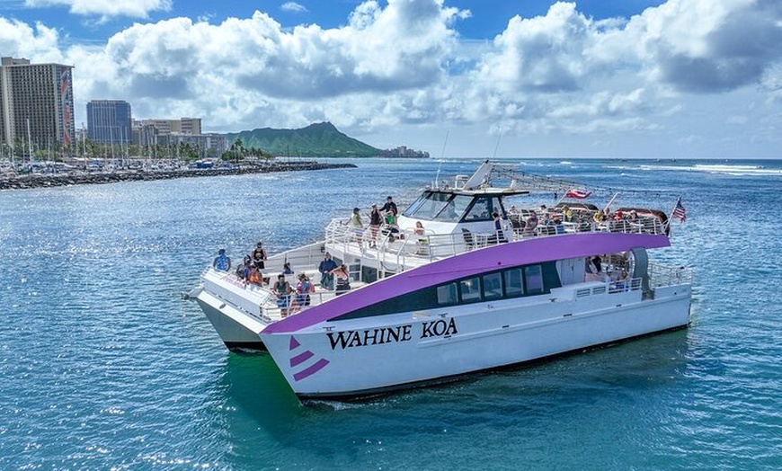 pink hawaii Tracer NOVA 26