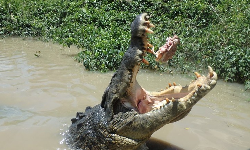 Image 5: Litchfield and Jumping Crocodiles Full Day Trip from Darwin