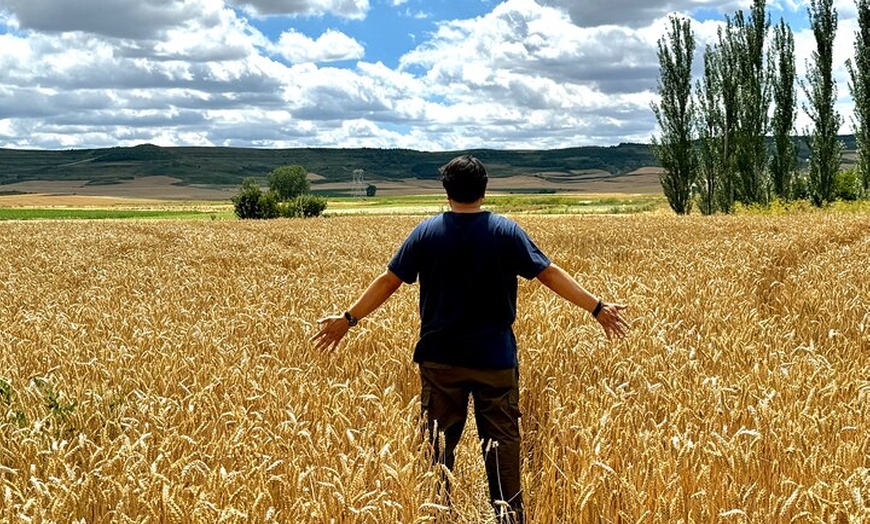 Image 7: Tour Burgos las Huellas del Cid Campeador