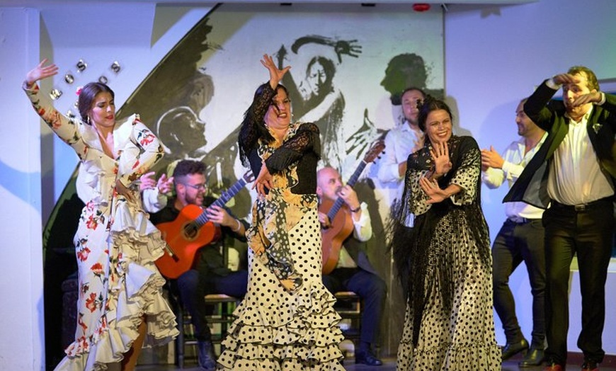 Image 1: Entrada para el espectáculo de flamenco en Los Gallos