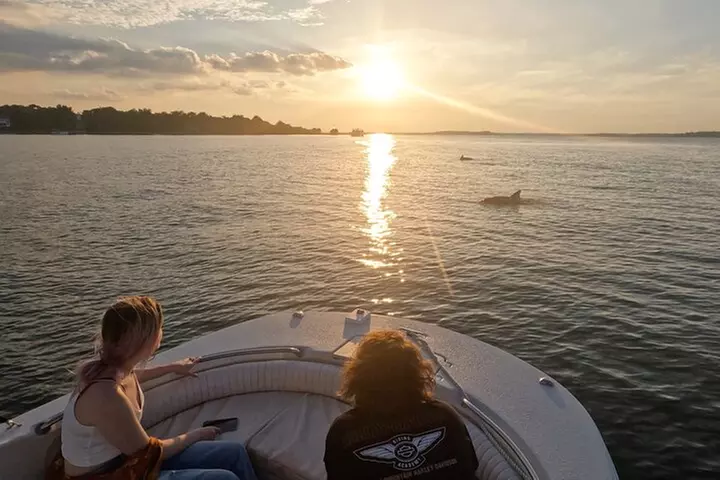 90-Minute Private Dolphin Tour in Hilton Head Island