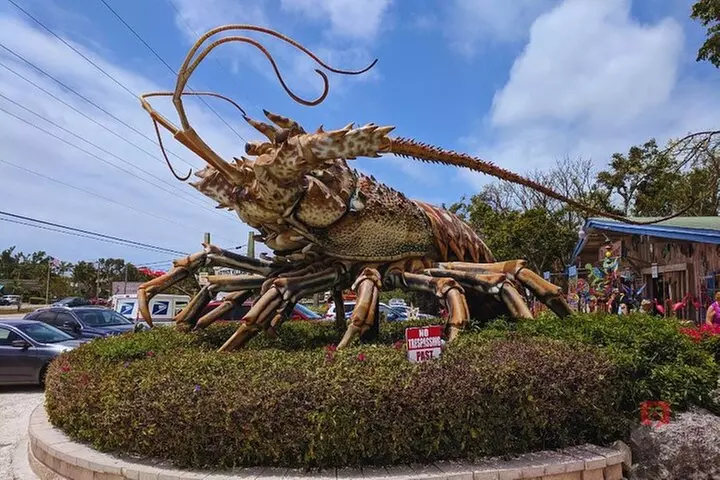 Self-Guided Audio Tour in Florida Keys