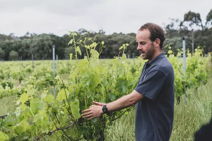 Hidden Gems: Boutique Full-Day Wine, Farm & Lunch Tour