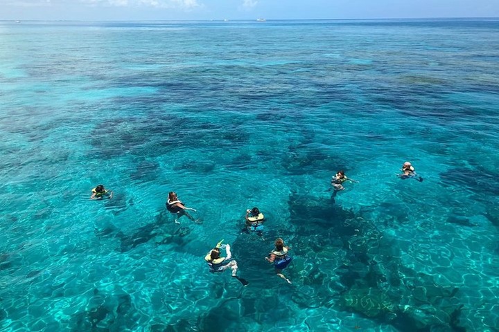 Key West Snorkeling with Breakfast and Unlimited Mimosas