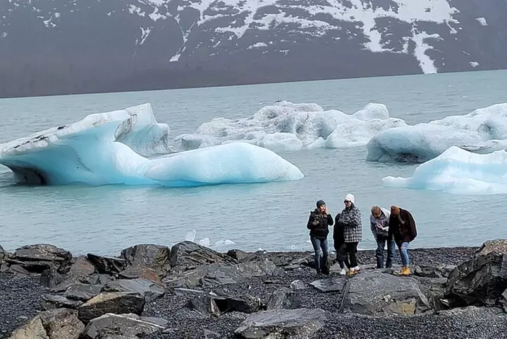 Wilderness, Wildlife, Glacier Experience from Anchorage