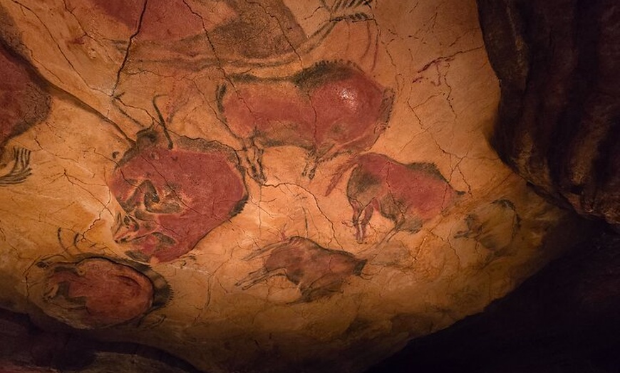 Image 8: Visita Privada a Pie al Museo de Altamira y la Neocueva