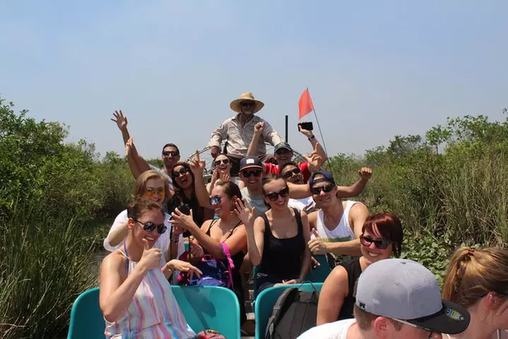 Everglades & Miami city tour with experienced guide in small group