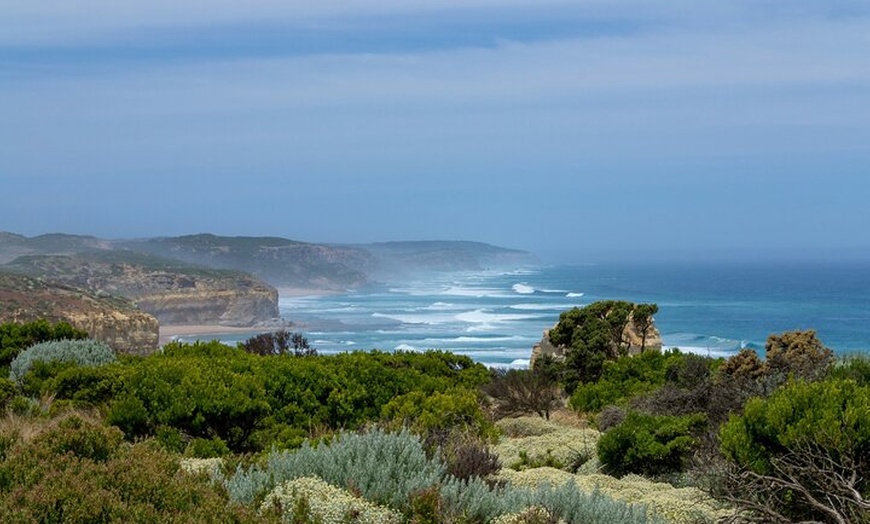 Image 9: Melbourne: Great Ocean Road Tour with Maxi Highlights in One Day